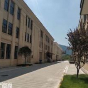 双龙湖周边全新厂房 标准厂房 300