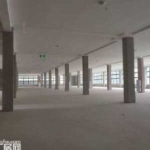 生物医药专业园区 小独栋花园厂房 配