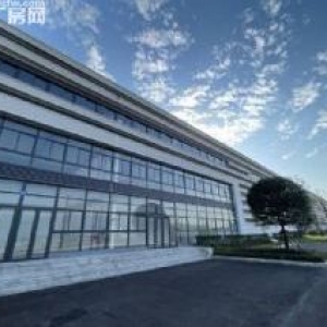 沙坪坝 大学城 曾家 陈
