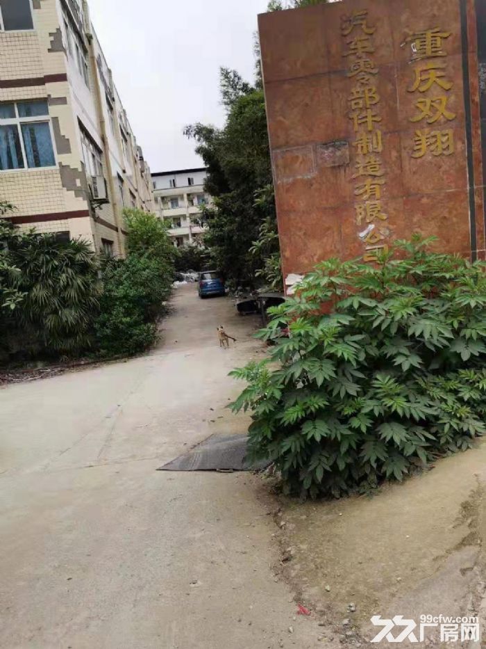 重庆巴南区小泉自由村自建厂房出租
