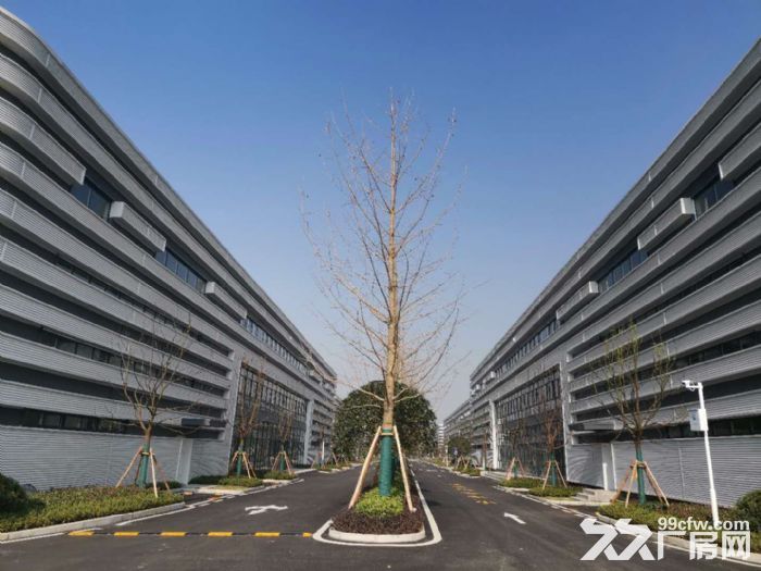 沙坪坝唯一在售厂房 花园式独栋 环境优美 彰显企业形象