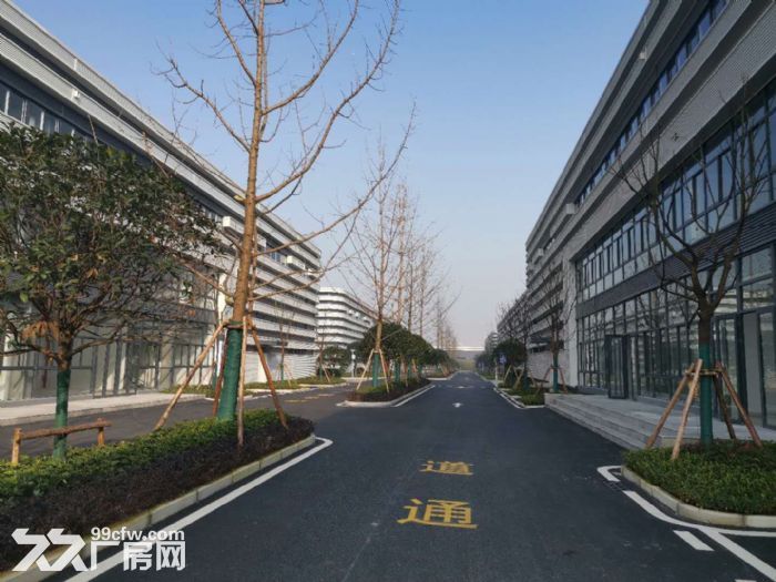 沙坪坝唯一在售厂房 花园式独栋 环境优美 彰显企业形象-图3