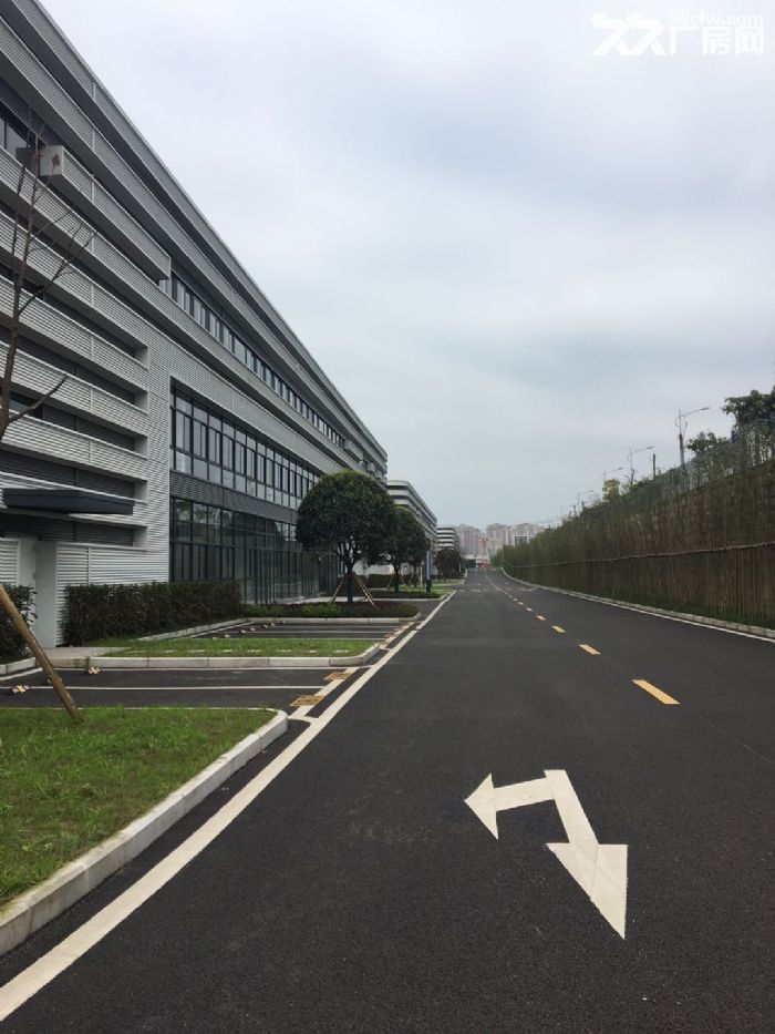 全新标准厂房出售，无公摊，大产权，交通十分便利-图6