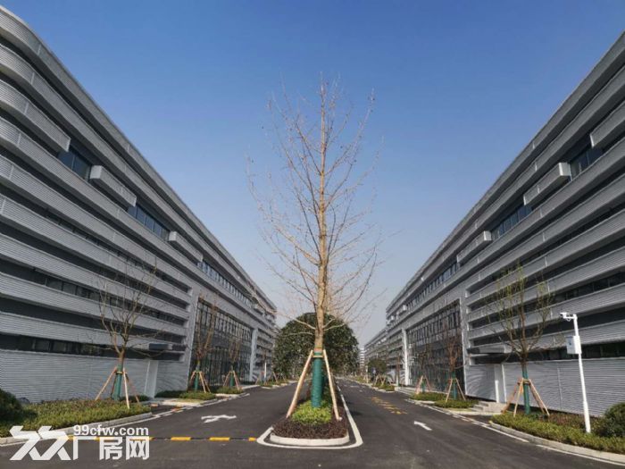 高品质标准厂房出售−交通便利 配套完善 环境优美 独栋双拼任选-图2