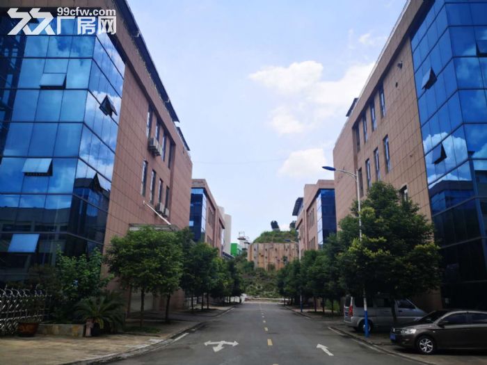 食品工业园，厂房50年产权，污水统一处理