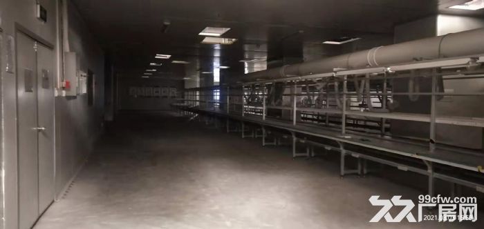 出租江津区德感工业园1500平食品加工厂房