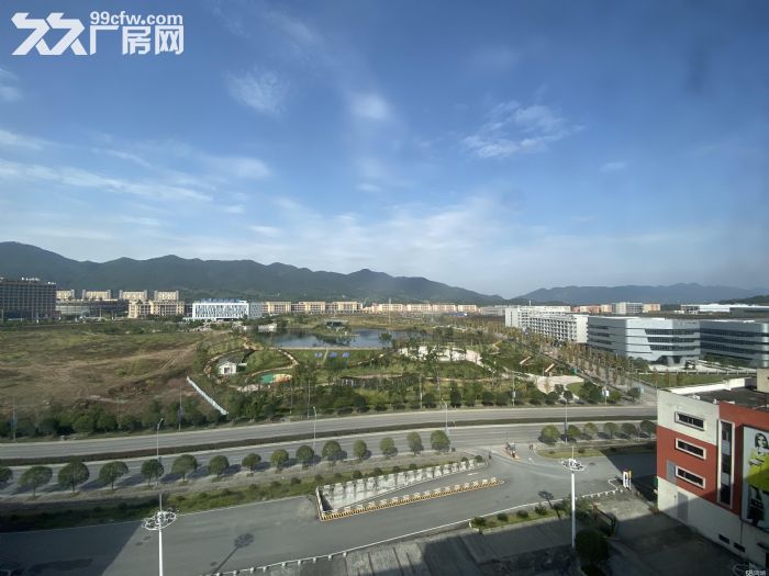 50年产权独栋厂房 可租可售 1000−5000㎡-图3