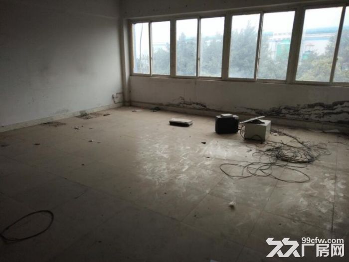 茶园工业园区22000平厂房出租-图4