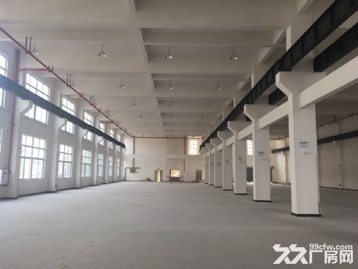 珞璜工业园B区2000方全新标准厂房出租