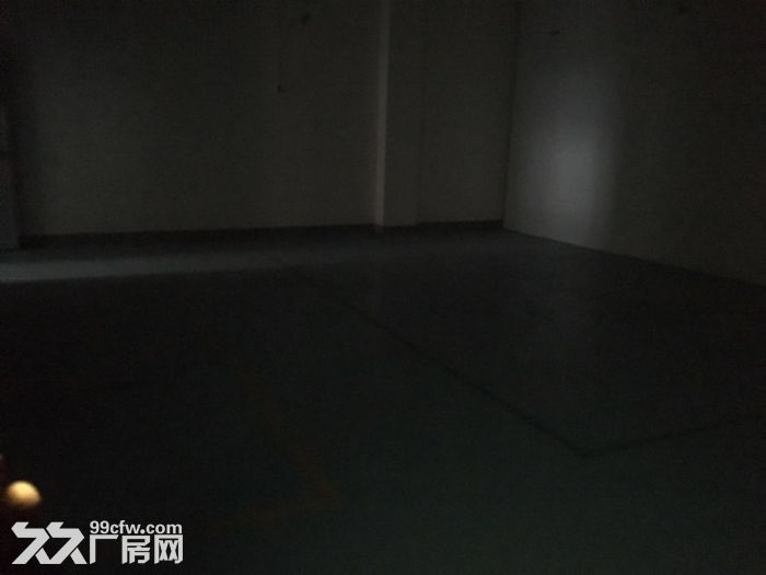 茶园新区机电路1400平标准医药仓库出租