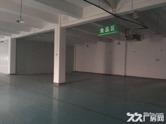 茶园新区机电路1400平标准医药仓库出租-图2
