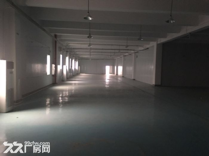 茶园新区机电路1400平标准医药仓库出租-图5