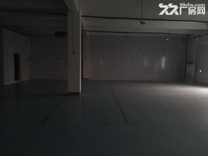 茶园新区机电路1400平标准医药仓库出租-图4