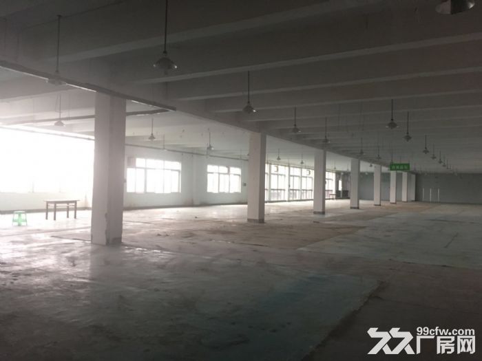 茶园新区机电路1400平标准医药仓库出租-图7