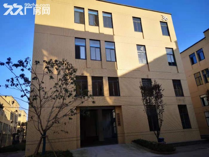 园区标准厂房出租可整租可合租
