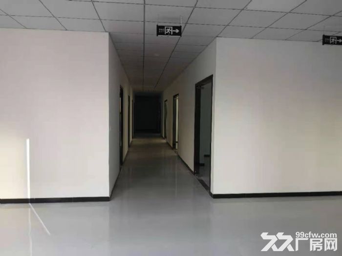 园区标准厂房出租可整租可合租-图3