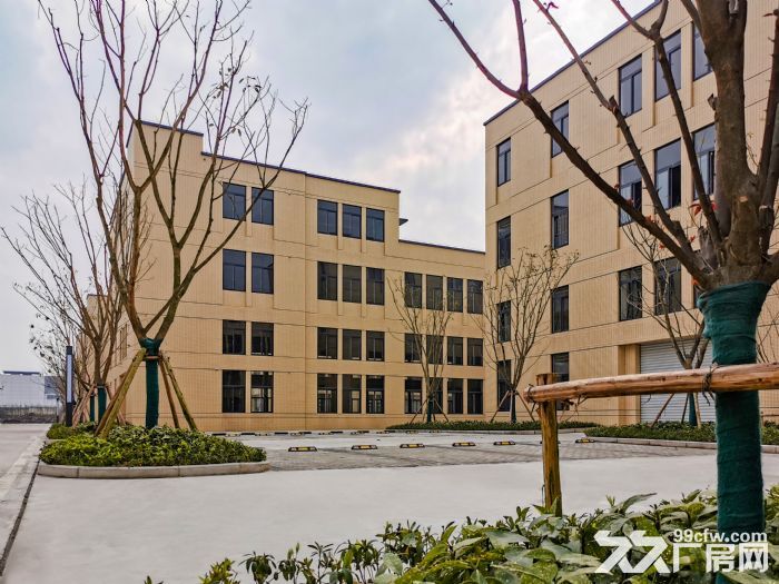 沙坪坝、北碚13米单层钢构厂房出租-图4