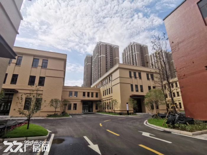 年度钜惠 墅级办公生产厂房 紧邻商圈 1500起-图3