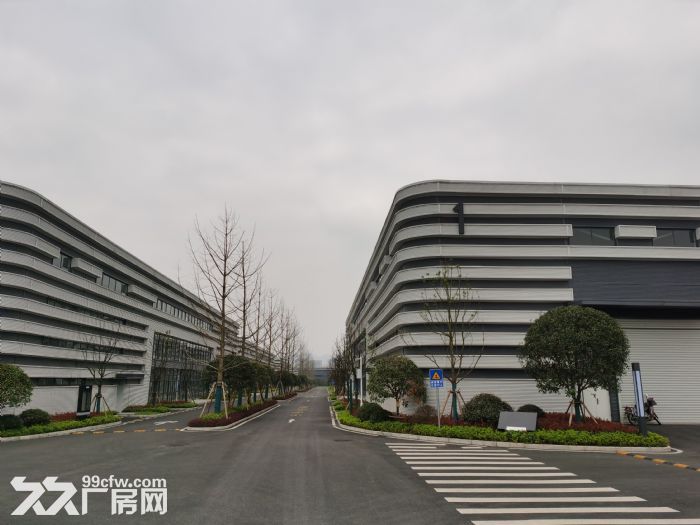 重庆高新区科学城核心区域 优质单层钢构厂房 带行车 1400平-图3