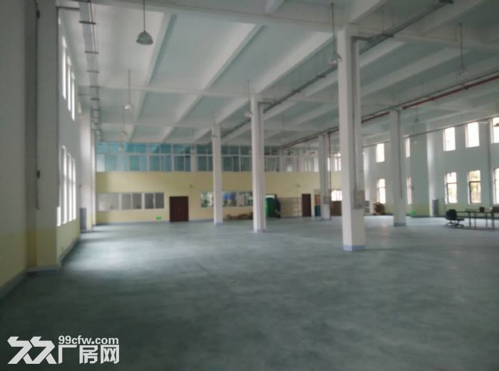 主城区，机场旁，2000㎡独栋厂房租售-图6