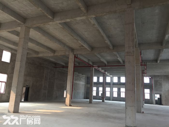 主城区，机场旁，2000㎡独栋厂房租售-图5