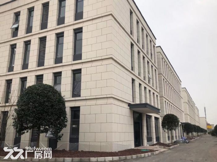 主城唯一双层独栋标准厂房，500至4000平，近蔡家-图3