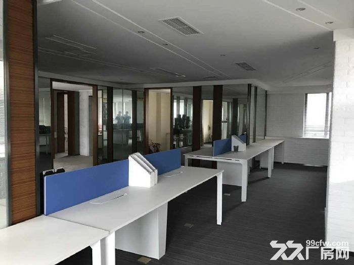 租售单层12米带庭院独栋厂房-图8