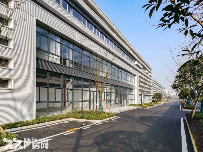 高新区 大学城 单层轻钢厂房出租-图2