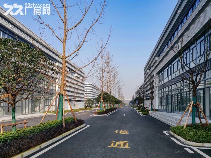 高新区 大学城 单层轻钢厂房出租-图3