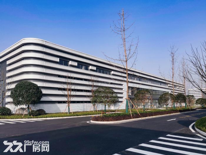 高新区 大学城 单层轻钢厂房出租-图4