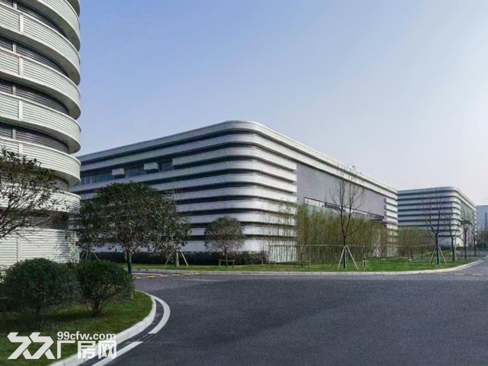 高新区 大学城 单层轻钢厂房出租-图5