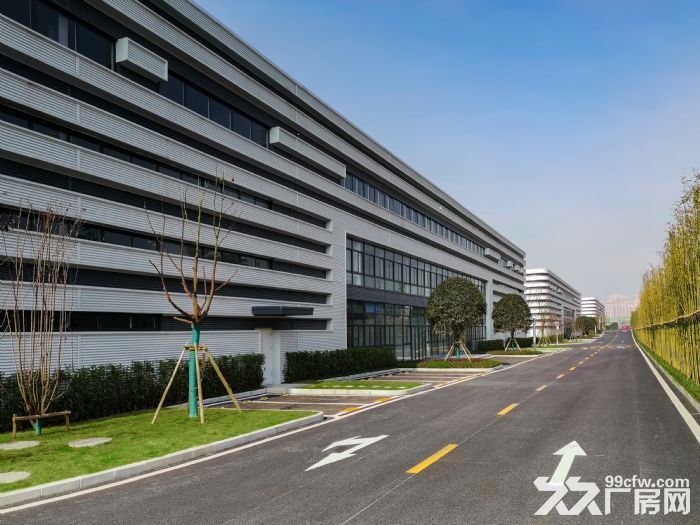 高新区 大学城 单层轻钢厂房出租-图6