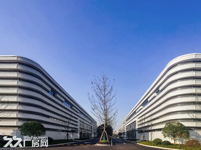高新区 大学城 单层轻钢厂房出租-图7