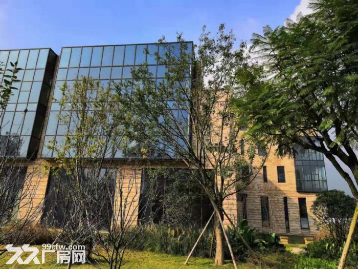 天海星两江数码工坊12000平厂房出租