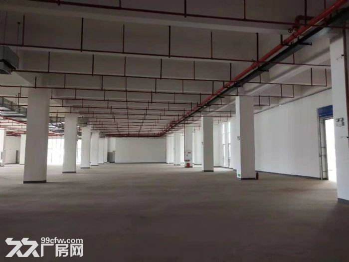 两江新区3万平标准厂房出租-图2