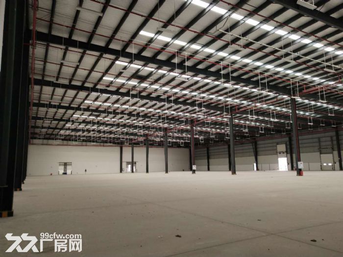 珞璜工业园B区标准库11万6千平方高库房出租