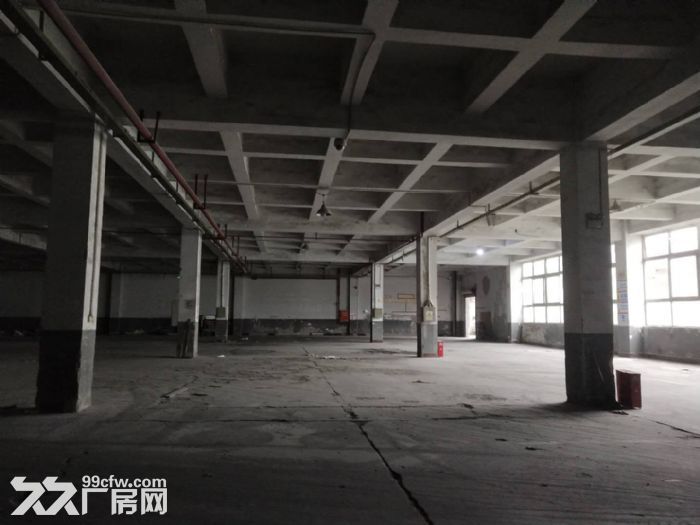 茶园新区3000平标准厂房火爆招租中