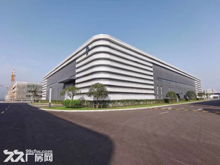 九龙坡标准行车厂房出租，可过环评，办消防！-图4
