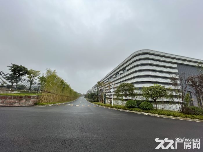 金凤标准厂房招租，可安装行车，动力电充足！