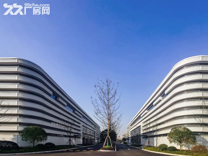 （非中介）空高11米，拖挂车可进，单层钢结构 带办公司