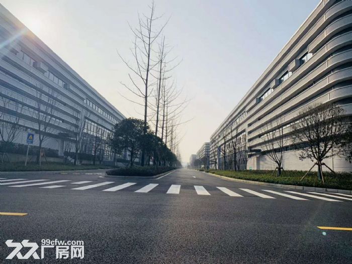 租售大学城独栋轻钢结构12米层高标准厂房仓库8000平，可分租