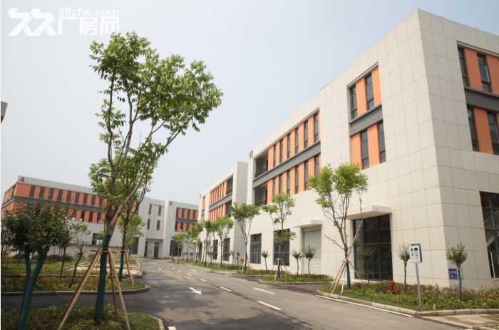 减免33%企业税收，全市唯一8.1米两层，打起灯笼找都只得这一家了