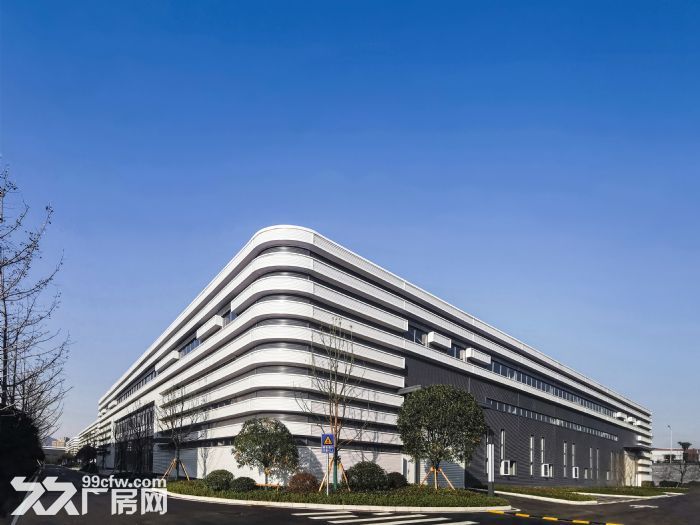 沙坪坝 高新区 单层轻钢厂房 租售-图5