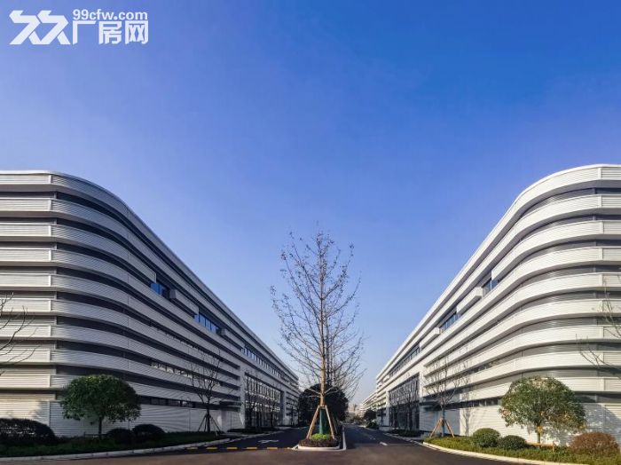主城沙坪坝核心区域单层钢构厂房出租，价格从优-图2