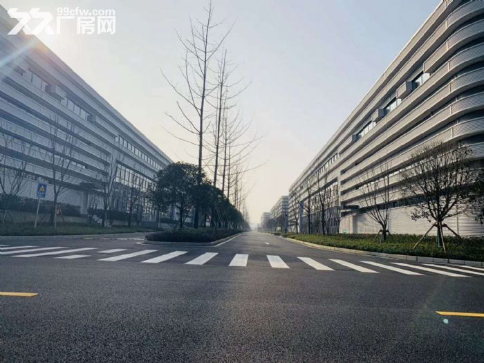 出租沙坪坝单层轻钢厂房1000−5000平。
