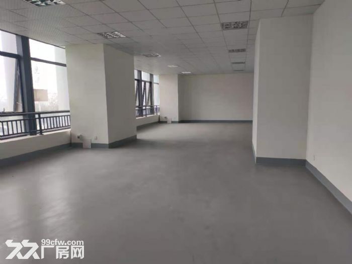 全新独门独院14米层高钢结构厂房招租