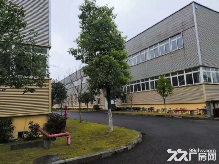 水土京东方附近2300平稀缺钢结构厂房出租-图3