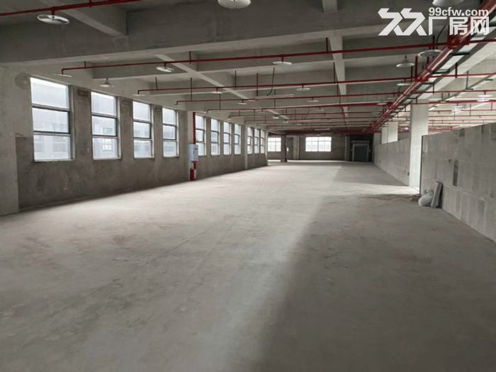 个人出租九龙坡区华富路全新厂房-图2