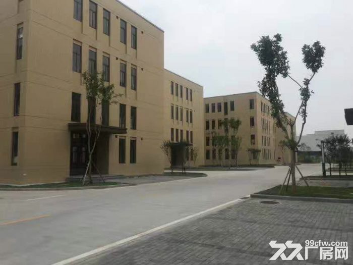 国家级重点区域  高端产业园  研发办公生产一体 层高5~12米-图4