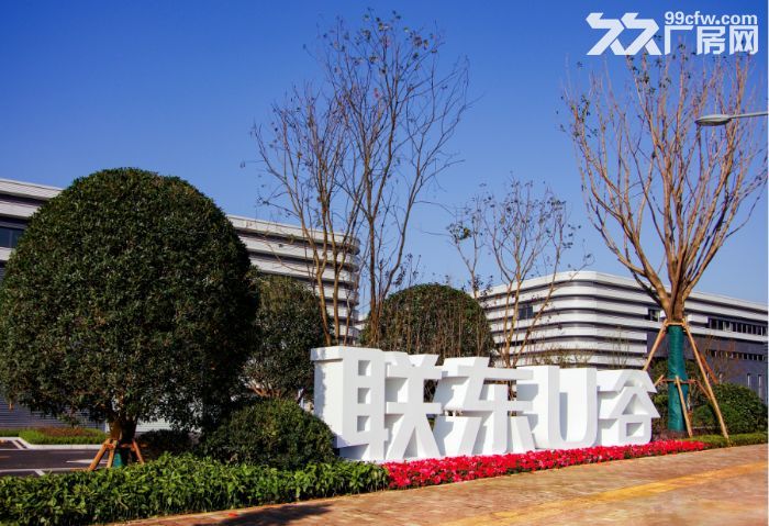大学城钢架厂房出租，高端大气上档次，成熟稳重有内涵就是它了-图8